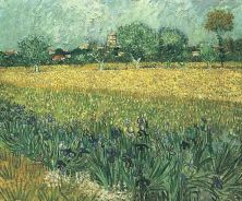 Haga click para ver la imagen ampliada 1888 view of arles with irises in the foreground.jpg